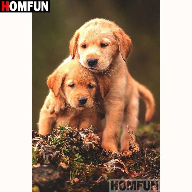 HOMFUN Full Square/Round Drill 5D DIY Diamond Painting "Animal dog" Embroidery Cross Stitch 5D Home Decor Gift A18238
HOMFUN Full Square/Round Drill 5D DIY Diamond Painting "Animal dog" Embroidery Cross Stitch 5D Home Decor Gift A18238