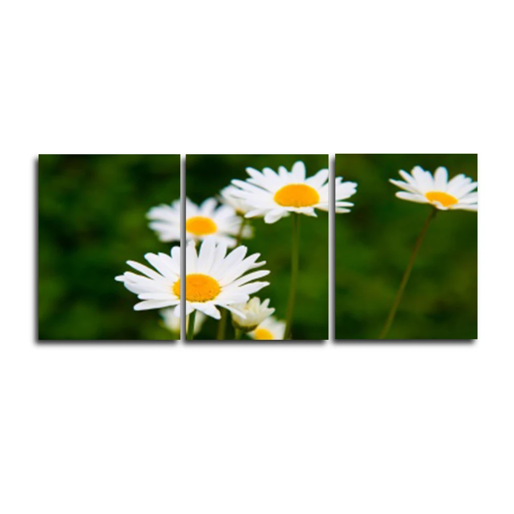 Laeacco Abstract White Flower Pictures 3 Panel Garden Posters and Prints Canvas Paintings Wall Art Home Living Room Decoration
Laeacco Abstract White Flower Pictures 3 Panel Garden Posters and Prints Canvas Paintings Wall Art Home Living Room Decoration