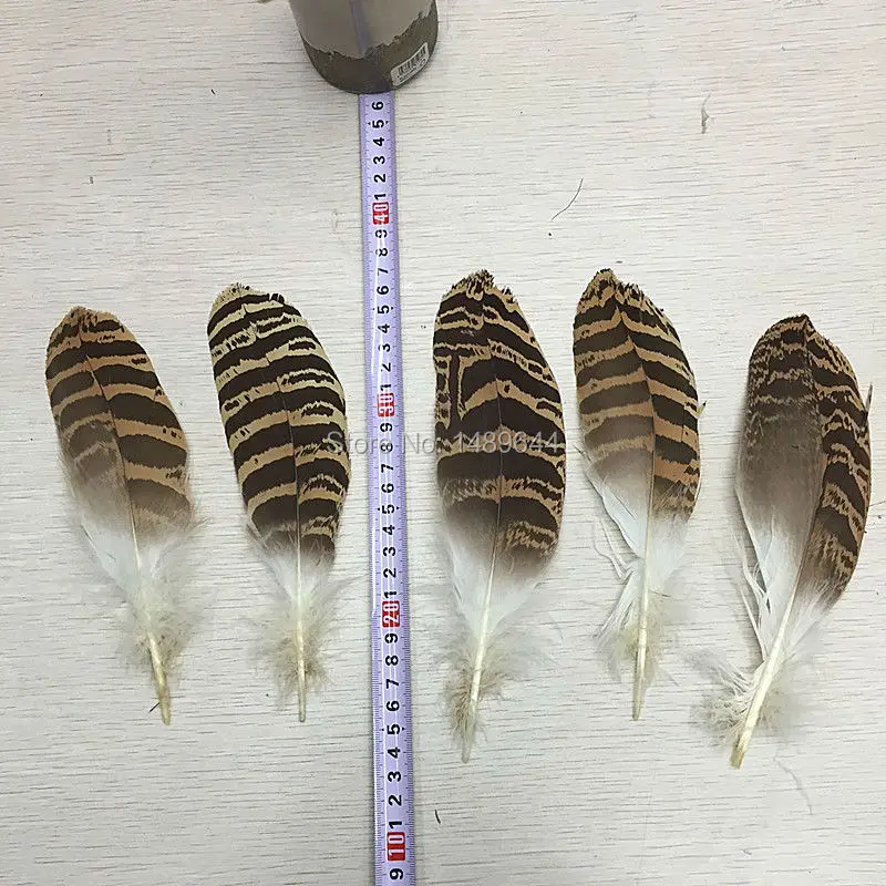wholesale! Natural color eagle feathers 6-8 inch / 15-20cm, used for collection, decoration
wholesale! Natural color eagle feathers 6-8 inch / 15-20cm, used for collection, decoration