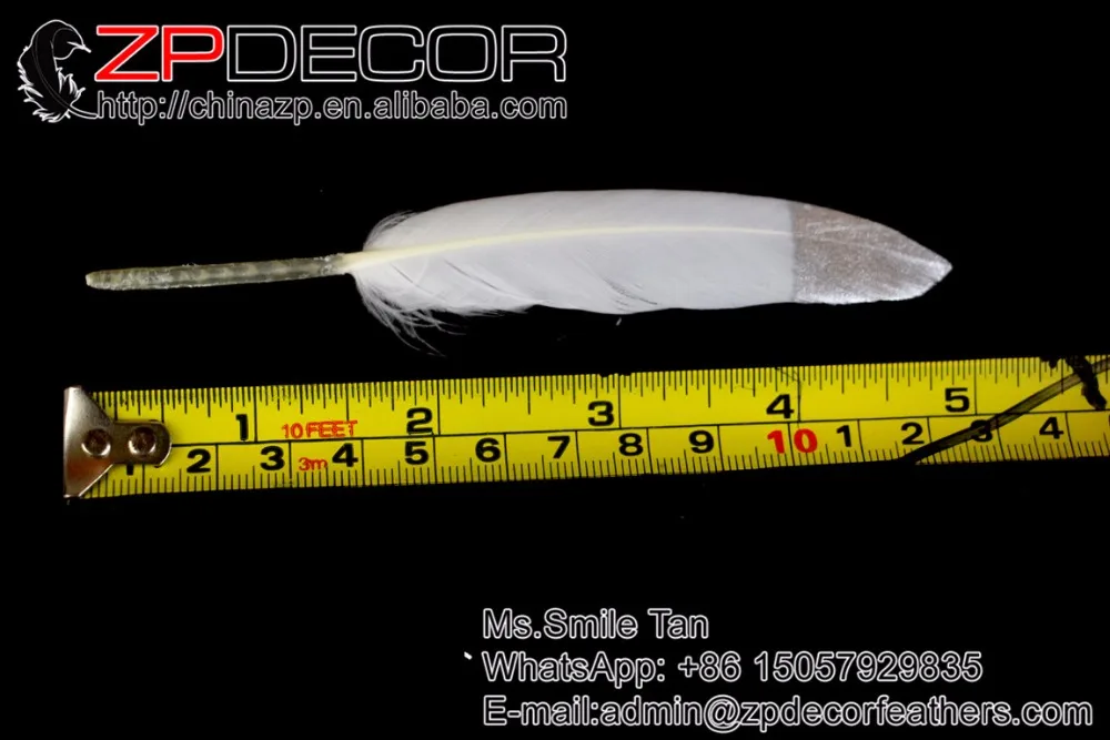 ZPDECOR 10-15cm(4-6inch) 100pieces Carefully Crafted White and Metallic Silver Tip Duck Feather for Carnival Decoration Feathers
ZPDECOR 10-15cm(4-6inch) 100pieces Carefully Crafted White and Metallic Silver Tip Duck Feather for Carnival Decoration Feathers
