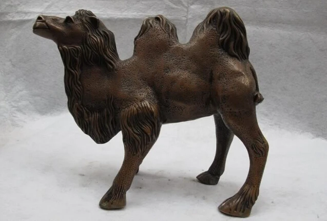 fast shipping USPS to USA S0368 9" Chinese Folk classical Copper Bronze lovely desert llama camel Art Statue
fast shipping USPS to USA S0368 9" Chinese Folk classical Copper Bronze lovely desert llama camel Art Statue