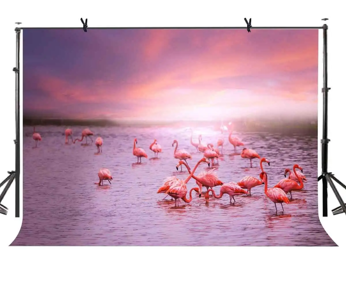 150x220cm Pink Color Backdrop Firebird Habitat Evening Red Pink Clouds Background for Personal Party and Photography Background
150x220cm Pink Color Backdrop Firebird Habitat Evening Red Pink Clouds Background for Personal Party and Photography Background
