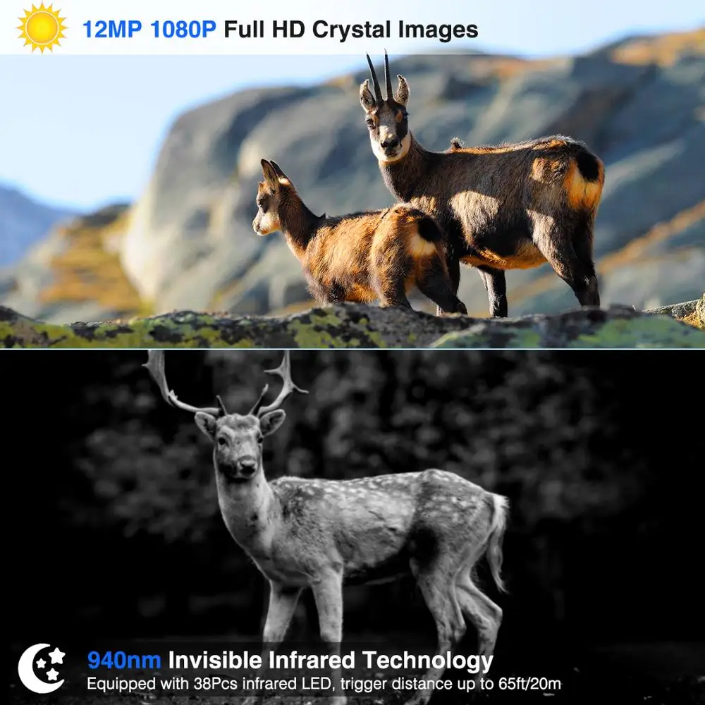 HC800M Hunting Camera 16MP 1080P Trail Camera 2G GSM Night Version Ip65 Wildlife Surveillance hunter Camera Chasse HC801M
HC800M Hunting Camera 16MP 1080P Trail Camera 2G GSM Night Version Ip65 Wildlife Surveillance hunter Camera Chasse HC801M