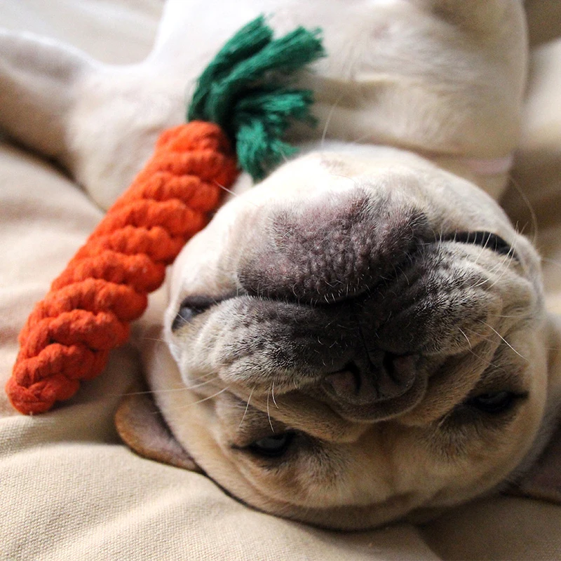 Carrot pet bite rope Dogs Pets Toys Bitten interactive toy Pet molars cotton rope Dog Toys For small/Large Dogs training toys
Carrot pet bite rope Dogs Pets Toys Bitten interactive toy Pet molars cotton rope Dog Toys For small/Large Dogs training toys