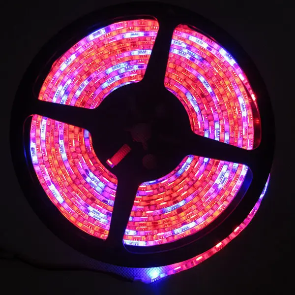 Grow Lights DC12V 5050 SMD 60 светодиодов/м Светодиодная лента для выращивания растений |