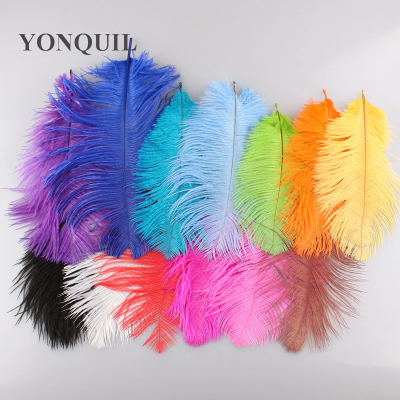 12 Color Available 8"-10"/20-25CM Ostrich Feathers Plumage Flapper Dresses For Wedding Part Decoration Hair Accessory 100Pcs/Lot
12 Color Available 8"-10"/20-25CM Ostrich Feathers Plumage Flapper Dresses For Wedding Part Decoration Hair Accessory 100Pcs/Lot