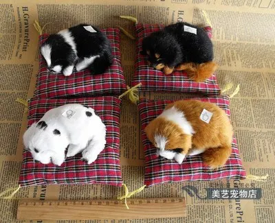 about 13x12cm mat dog model handicraft,sounds bark dog ,plastic&fur sleeping dog prop toy home ,car decoration Xmas gift w5979
about 13x12cm mat dog model handicraft,sounds bark dog ,plastic&fur sleeping dog prop toy home ,car decoration Xmas gift w5979