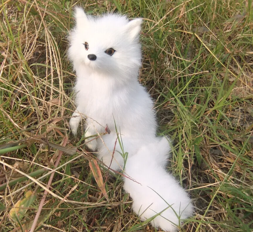 The simulation fox pet fox The white fox fairy friends birthday gift High-grade rabbit fur Squat down understand
The simulation fox pet fox The white fox fairy friends birthday gift High-grade rabbit fur Squat down understand