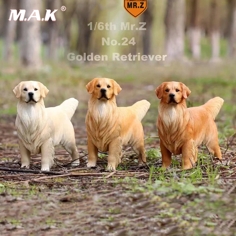For Collection Mr.Z 1/6 Solider Figure Scene Accessories Golden Retriever Animal Dog Model Toy for 12'' Action Figure
For Collection Mr.Z 1/6 Solider Figure Scene Accessories Golden Retriever Animal Dog Model Toy for 12'' Action Figure