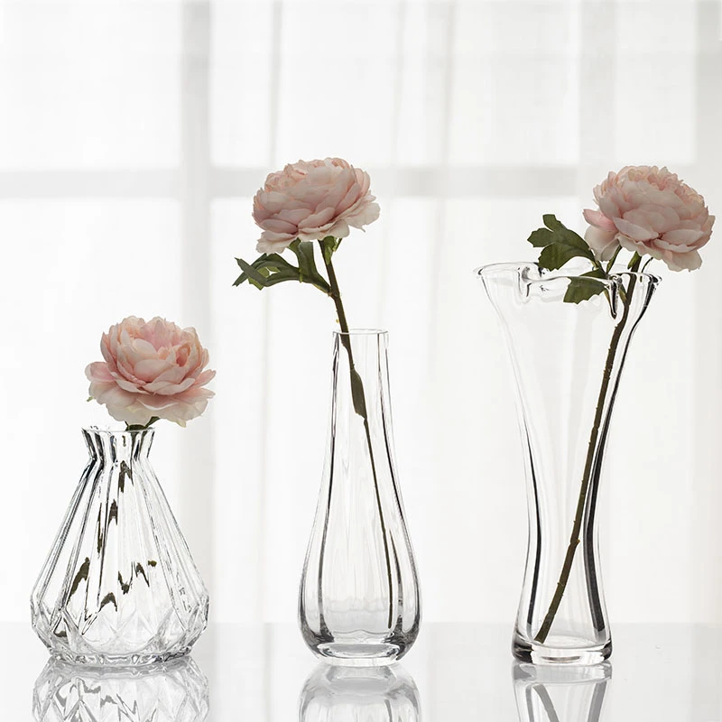simple creative glass vase ornaments living room decor European transparent flower arrangement flower dried flower container
simple creative glass vase ornaments living room decor European transparent flower arrangement flower dried flower container