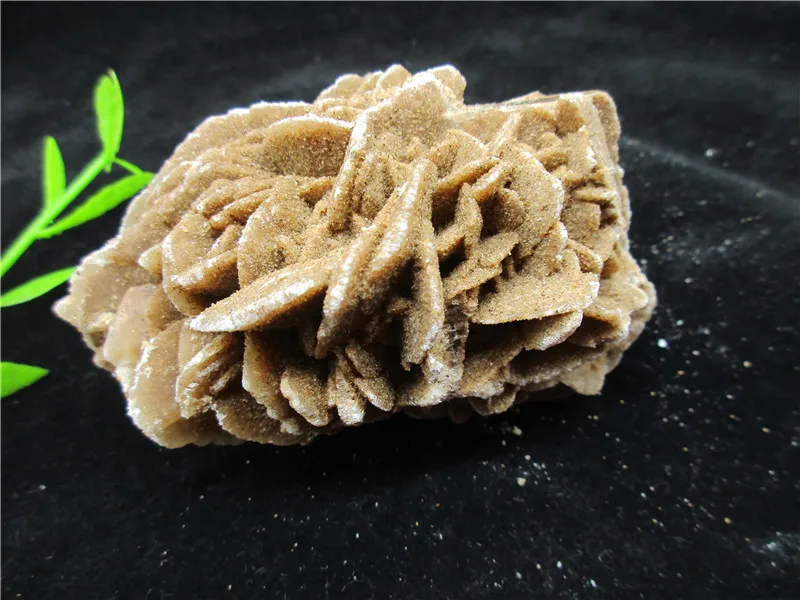 Natural Desert Rose Quartz Flowers Crystal Clusters Decoration Resistant Healing Stone Crystal Chakra Reiki For Collection
Natural Desert Rose Quartz Flowers Crystal Clusters Decoration Resistant Healing Stone Crystal Chakra Reiki For Collection