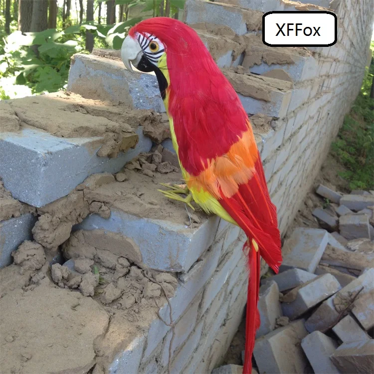 big real life red&yellow parrot model foam&feather cute simulation parrot bird gift about 45cm xf0197
big real life red&yellow parrot model foam&feather cute simulation parrot bird gift about 45cm xf0197