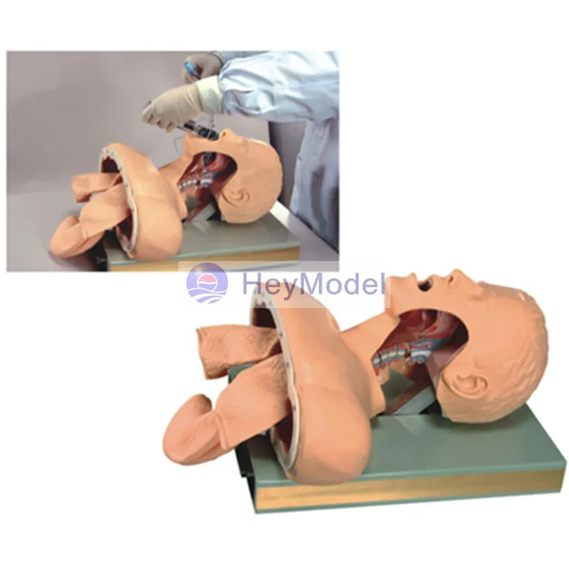 HeyModel Tracheal intubation training model (with alarm) CPR / J50 intubation training model
HeyModel Tracheal intubation training model (with alarm) CPR / J50 intubation training model