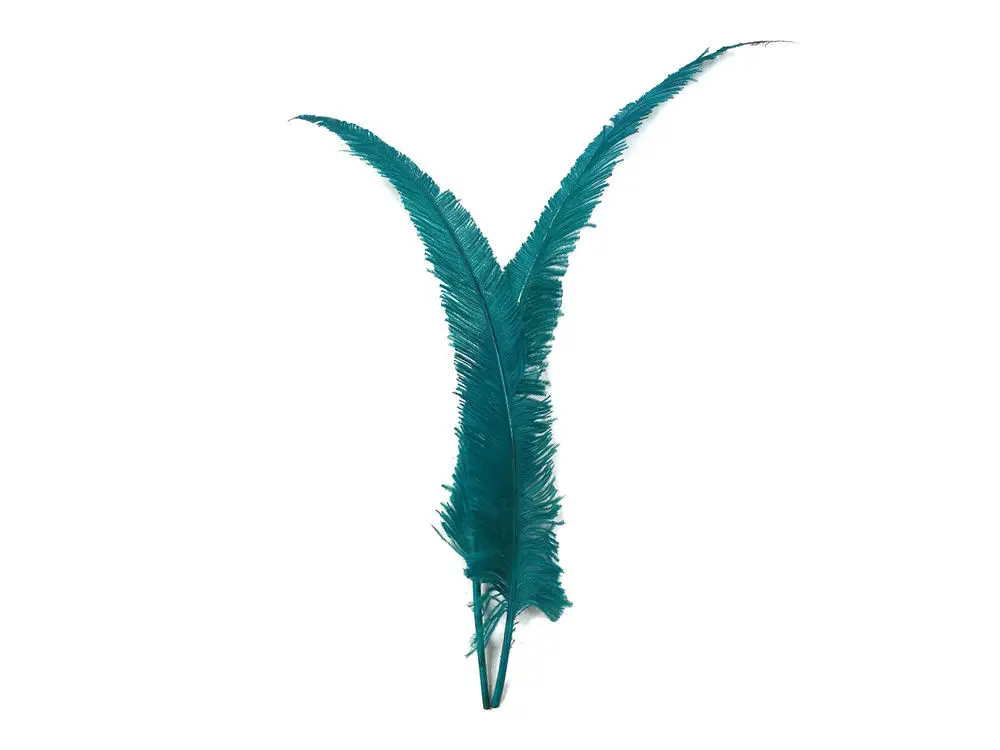 Wholesale Free shipping 50pcs/lot Peacock Blue 45-70cm 18-28inch Ostrich Nandu Trimed Feathers for Hats/Craft/Costume/Wedding
Wholesale Free shipping 50pcs/lot Peacock Blue 45-70cm 18-28inch Ostrich Nandu Trimed Feathers for Hats/Craft/Costume/Wedding