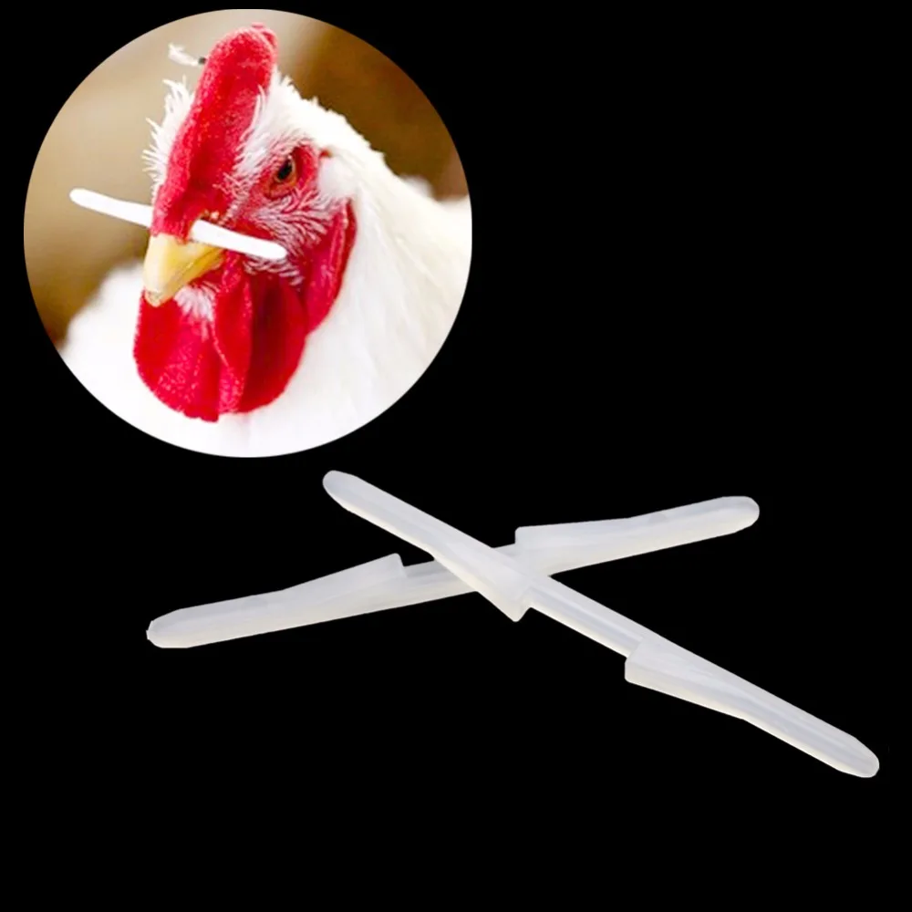 500 Pcs Farm Tools 6.9cm Chicken Nose Bolt Chicken Glasses Prevent Rooster Eating Hen Feed
500 Pcs Farm Tools 6.9cm Chicken Nose Bolt Chicken Glasses Prevent Rooster Eating Hen Feed