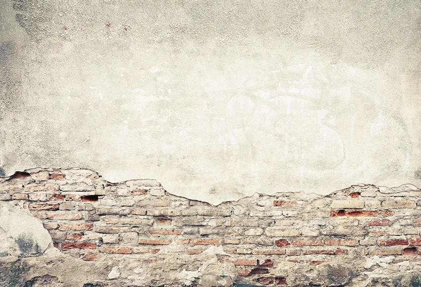 Brick Wall Theme Portrait Photocall Photography Backgrounds Customized Photography Backdrops For Photo Studio 28 Models Option
Brick Wall Theme Portrait Photocall Photography Backgrounds Customized Photography Backdrops For Photo Studio 28 Models Option