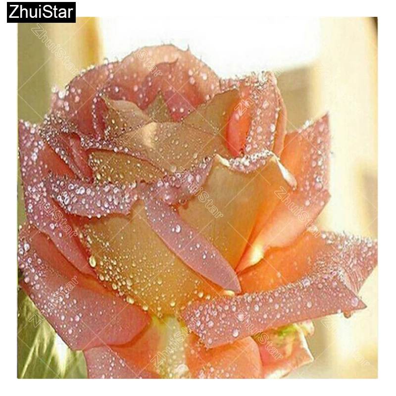 Full Square 5D DIY Diamond Painting "Sunlight spray flower" Embroidery Cross Stitch Mosaic Home Decor Gift CJ2
Full Square 5D DIY Diamond Painting "Sunlight spray flower" Embroidery Cross Stitch Mosaic Home Decor Gift CJ2