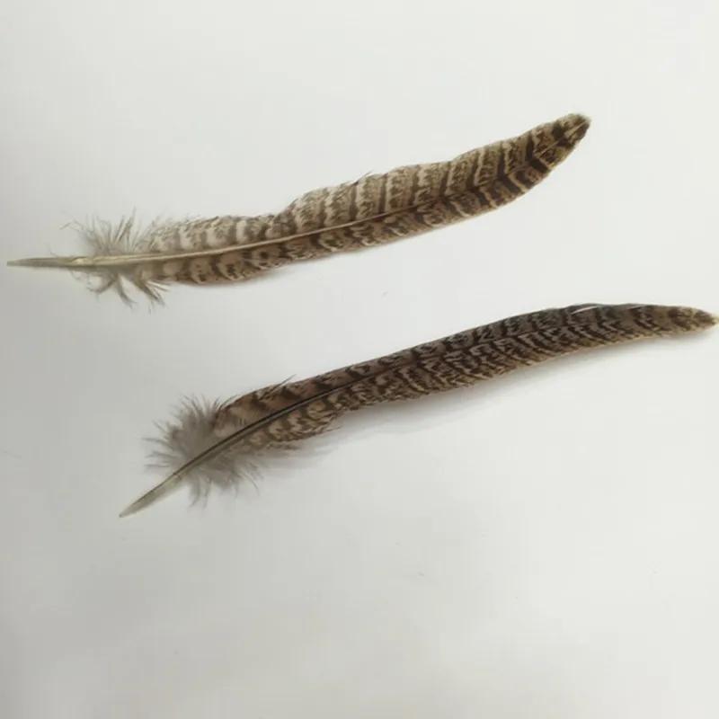 100Pcs/Lot 6-8" 15-20Cm Natural Hen Ringneck PHEASANT Quill FEATHERS Craft Millinery Fly Fishing
100Pcs/Lot 6-8" 15-20Cm Natural Hen Ringneck PHEASANT Quill FEATHERS Craft Millinery Fly Fishing