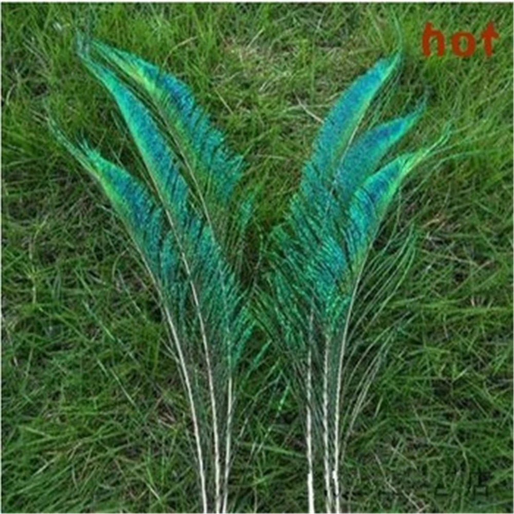 10-13"(25-33cm) s beautiful natural peacock feathers sword feather natural green lridescent left & right side
10-13"(25-33cm) s beautiful natural peacock feathers sword feather natural green lridescent left & right side