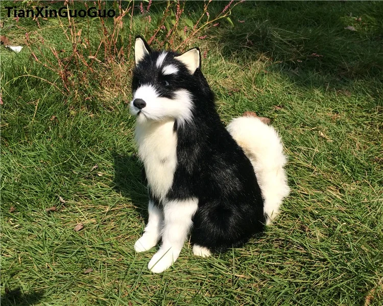 Симуляция Хаски dog squatting поза 25x8x2 4 см Твердые игрушечные модели полиэтилен & furs black dog ручная работа домашний Декор подарок s0670
Симуляция Хаски dog squatting поза 25x8x2 4 см Твердые игрушечные модели полиэтилен & furs black dog ручная работа домашний Декор подарок s0670