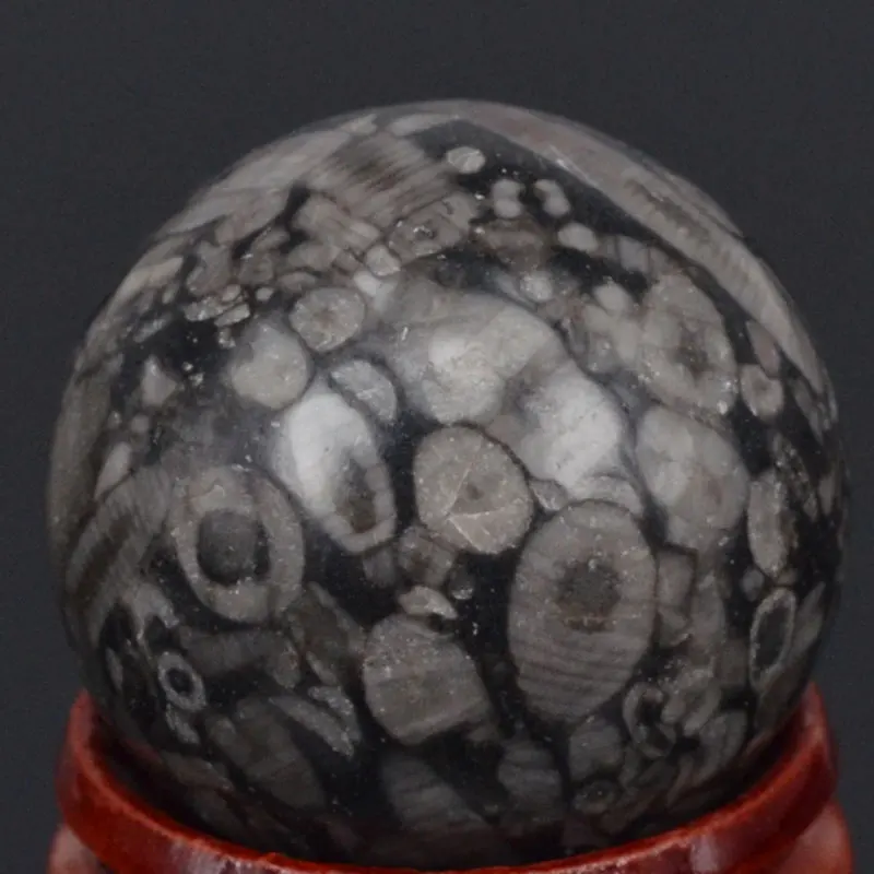 Природный драгоценный камень, криноид, ископаемая Сфера из яшмы, хрустальный шар, чакра, исцеление, камень «Reiki» резьба по дереву, минерал, 29 ... 
Природный драгоценный камень, криноид, ископаемая Сфера из яшмы, хрустальный шар, чакра, исцеление, камень «Reiki» резьба по дереву, минерал, 29 ...