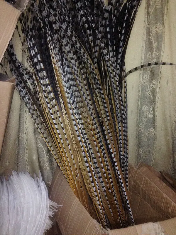 Free shipping wholesale 50pcs scare Natural Pheasant Tail 150-160cm / 60-64inch Decorative diy
Free shipping wholesale 50pcs scare Natural Pheasant Tail 150-160cm / 60-64inch Decorative diy