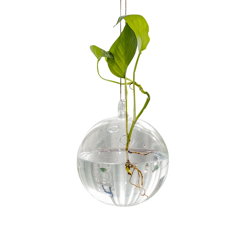 64pcs/pack Diameter=10cm Middle Size Hanging Glass Terrarium Vase Home Decorative Two Small Holes Ball Shaped Plant Container
64pcs/pack Diameter=10cm Middle Size Hanging Glass Terrarium Vase Home Decorative Two Small Holes Ball Shaped Plant Container