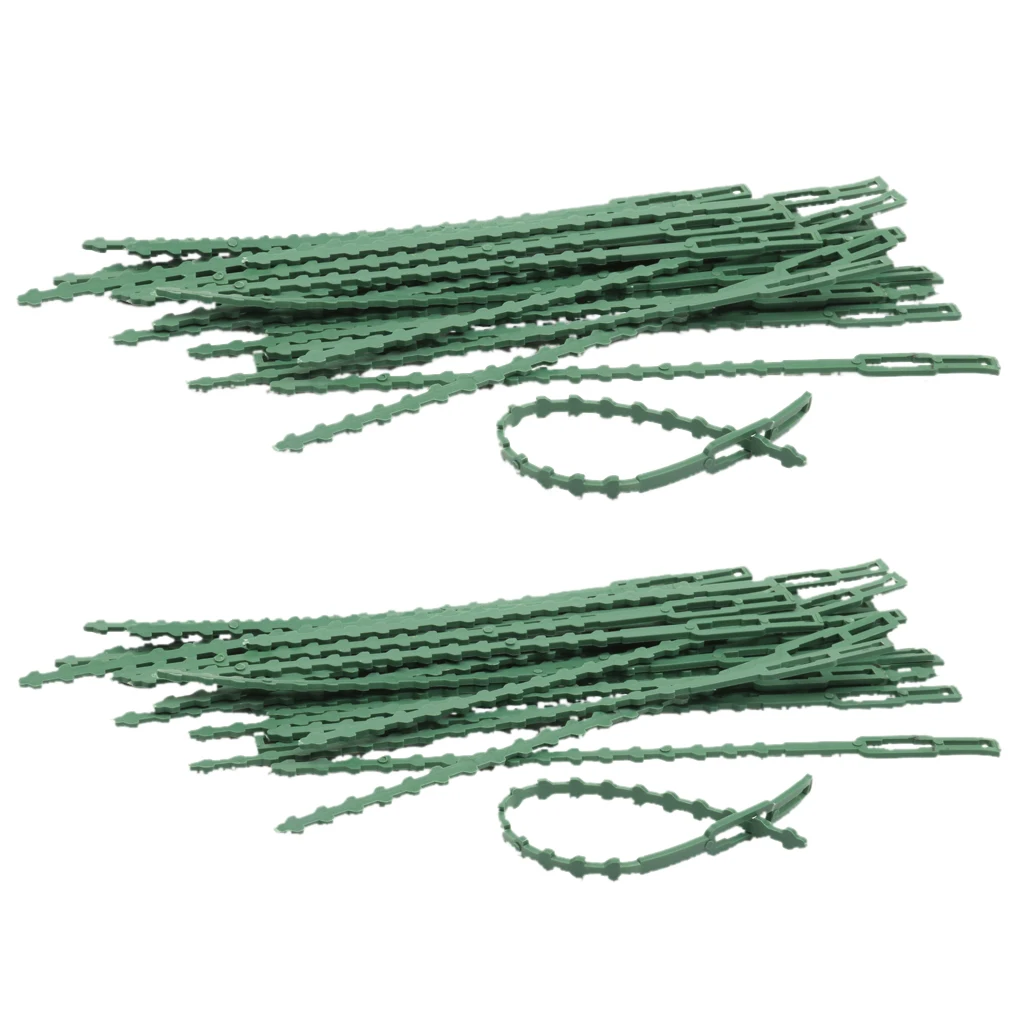 Lot Of 60pcs Links Ligatures Multifunction Reusable Plastic Adjustable Fasteners For Plants
Lot Of 60pcs Links Ligatures Multifunction Reusable Plastic Adjustable Fasteners For Plants