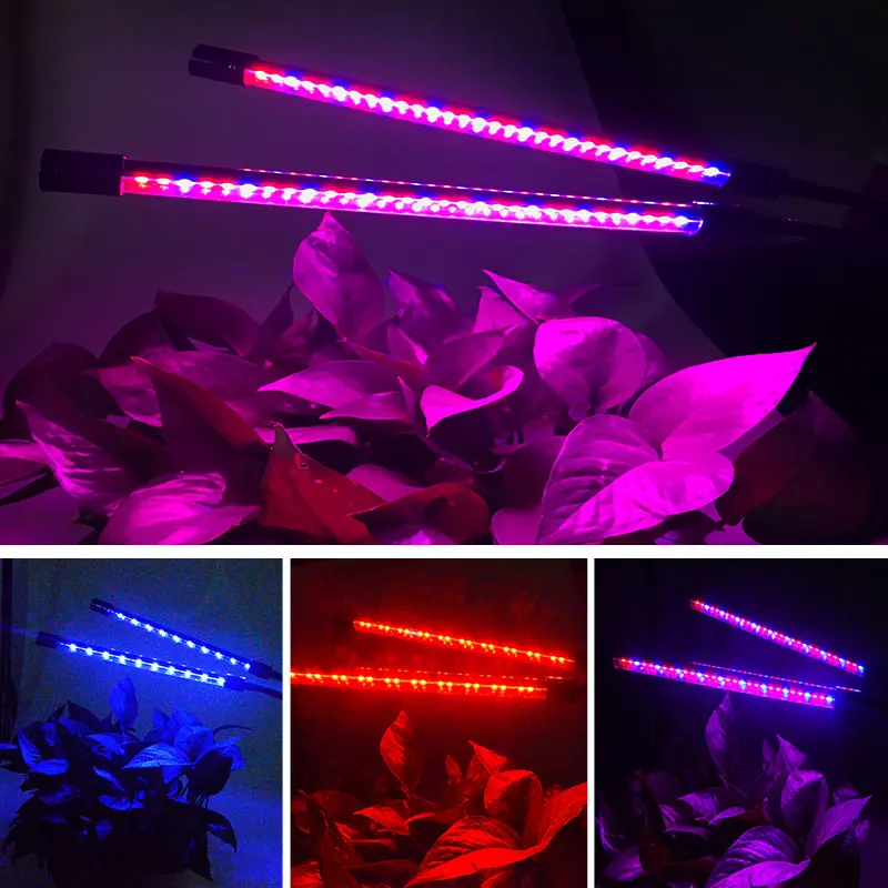 Full Spectrum 60 LEDs Phyto Lamp Dimmable 5V LED Grow Lights Double Tube Timing Function Indoor Plants Hydroponic Green House
Full Spectrum 60 LEDs Phyto Lamp Dimmable 5V LED Grow Lights Double Tube Timing Function Indoor Plants Hydroponic Green House