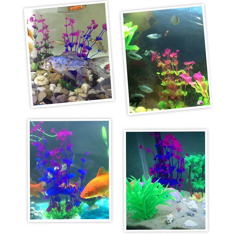 Plastic Aquarium Plants Wonder Grass Ornament Shell Grass Decor Landscape for Fish Tank
Plastic Aquarium Plants Wonder Grass Ornament Shell Grass Decor Landscape for Fish Tank