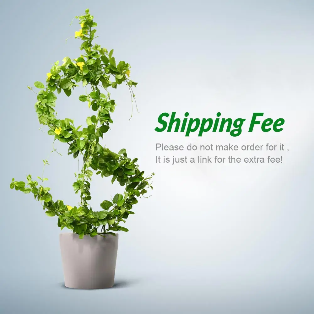 Extra Fee for shipping fee