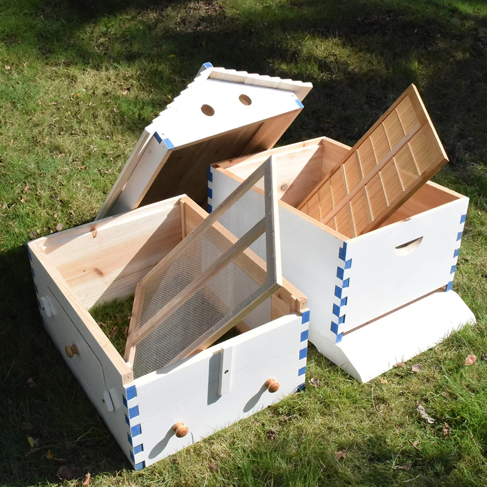 Automatic Wooden Bee Hive House Wooden Bees Box Beekeeping Equipment Beekeeper Tool for Bee Hive Supply High Quality
Automatic Wooden Bee Hive House Wooden Bees Box Beekeeping Equipment Beekeeper Tool for Bee Hive Supply High Quality