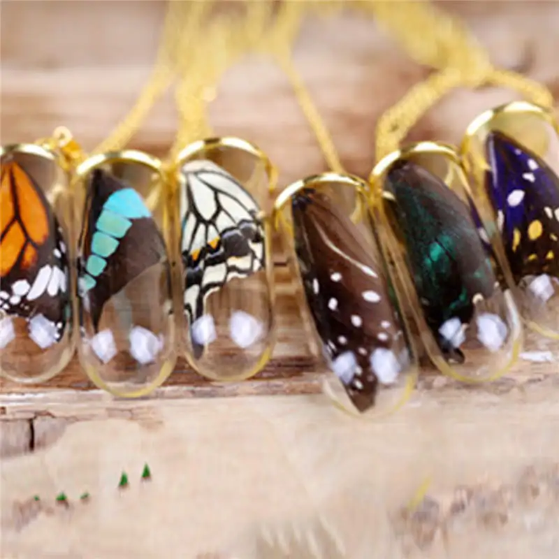 DoreenBeads Real Butterfly Wing For DIY & Craft Multicolor 4.7cm x3.2cm(1 7/8" x1 2/8") - 3.6cm x3.2cm(1 3/8" x1 2/8"), 1 Piece
DoreenBeads Real Butterfly Wing For DIY & Craft Multicolor 4.7cm x3.2cm(1 7/8" x1 2/8") - 3.6cm x3.2cm(1 3/8" x1 2/8"), 1 Piece