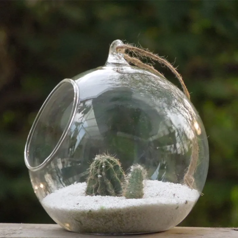 48pcs/pack Diameter=8cm Little Higher Open Glass Terrarium Vase Hanging Glass Globe Beautiful Home Decorative Vase
48pcs/pack Diameter=8cm Little Higher Open Glass Terrarium Vase Hanging Glass Globe Beautiful Home Decorative Vase