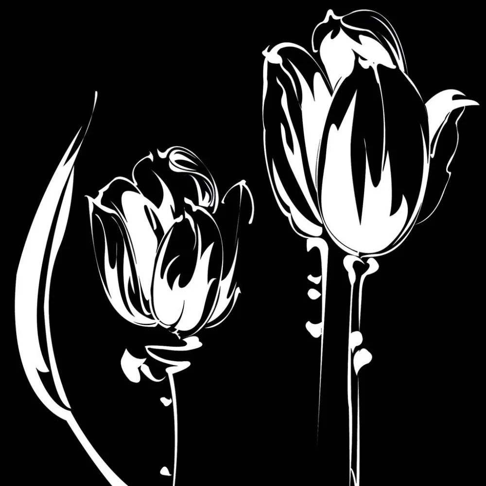 3 Panels Oil Painting Printed Canvas Black White Abstract Flower Wall Art Drawing Room Decorative Pictures Unframed Poster
3 Panels Oil Painting Printed Canvas Black White Abstract Flower Wall Art Drawing Room Decorative Pictures Unframed Poster