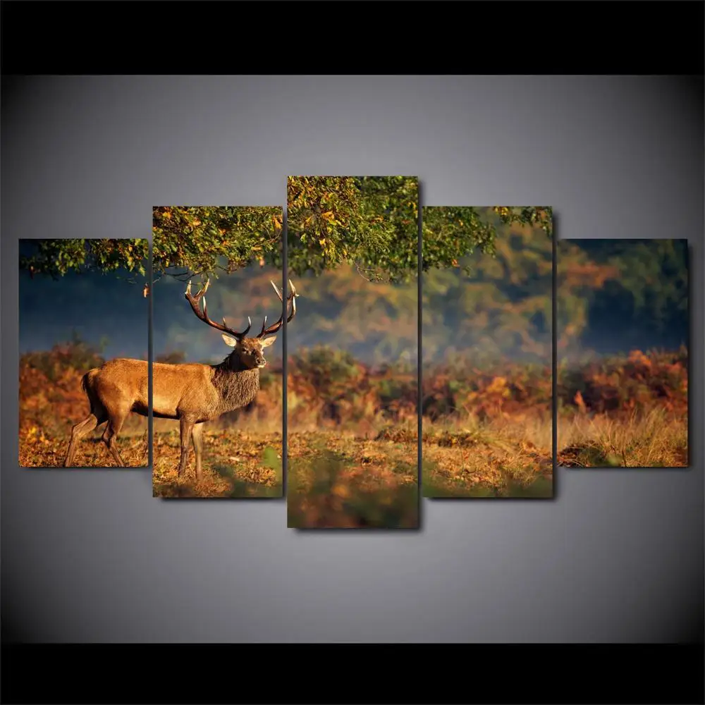 5 , , , , , , LW209
5 , , , , , , LW209