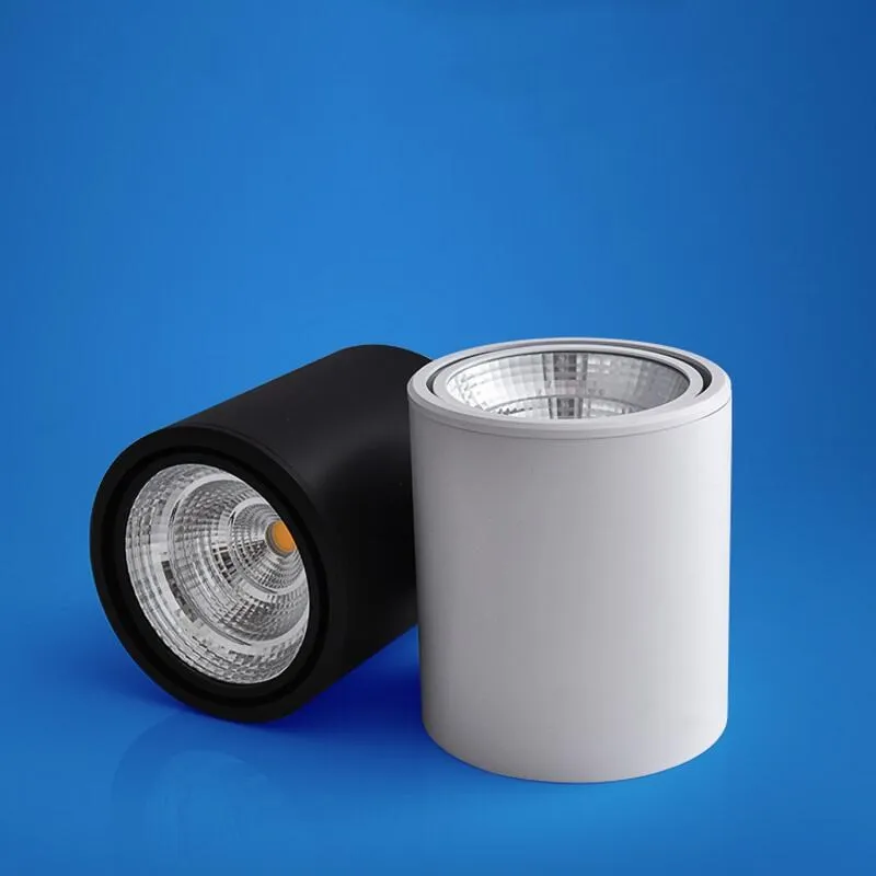 Factory Hot sale 10W 20W 30W COB led downlight Surface mounted Adjustable Angle Spot light indoor Warm White Natural Cold White
Factory Hot sale 10W 20W 30W COB led downlight Surface mounted Adjustable Angle Spot light indoor Warm White Natural Cold White