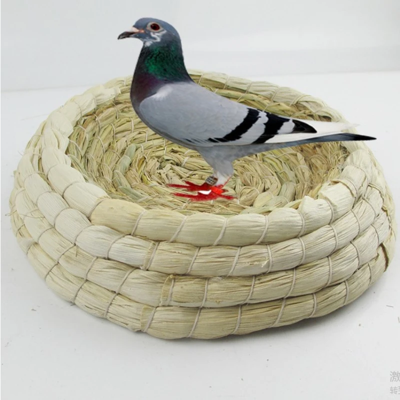 Round Straw Bird Nest Natural Grass Handmade Pest Straw Weaving Nest Nest For Pest Pigeon Rabbit Bird Breeding
Round Straw Bird Nest Natural Grass Handmade Pest Straw Weaving Nest Nest For Pest Pigeon Rabbit Bird Breeding