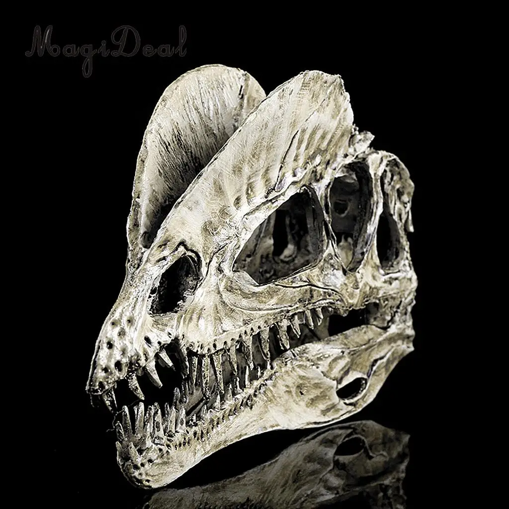 

Dinosaur Skull Replica Skeleton Model Aquarium Ornament Antique Yellow Museum Quality Replica Dilophosaurus