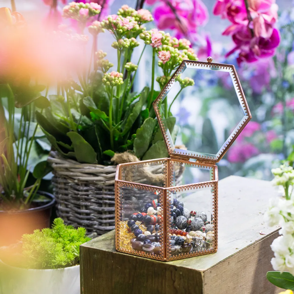 Geometric Jewelry Box Faceted Balcony Tabletop Hexagonal Necklace Ring Display Box Brass Glass Fashion Vintage Terrarium Box
Geometric Jewelry Box Faceted Balcony Tabletop Hexagonal Necklace Ring Display Box Brass Glass Fashion Vintage Terrarium Box