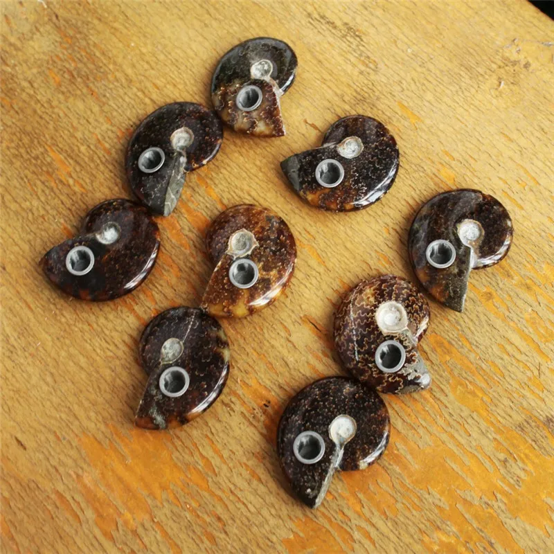 60*45mm Free Shipping! NATURAL ammonite RAINBOW FOSSIL Smoking Pipe for tobacco 1pc
60*45mm Free Shipping! NATURAL ammonite RAINBOW FOSSIL Smoking Pipe for tobacco 1pc