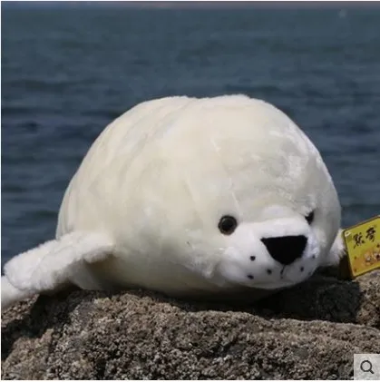 Новое поступление 2020, мягкая плюшевая игрушка Whit Seal для детей, подарок на день рождения
Новое поступление 2020, мягкая плюшевая игрушка Whit Seal для детей, подарок на день рождения