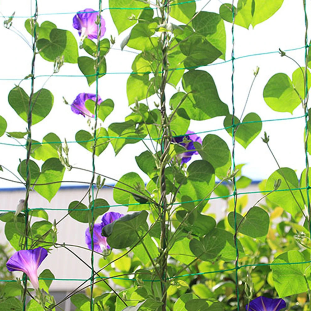 1 8*1 8 м/1 8*2 7 м садовая зеленая нейлоновая сетчатая шпалера для поддержки растений