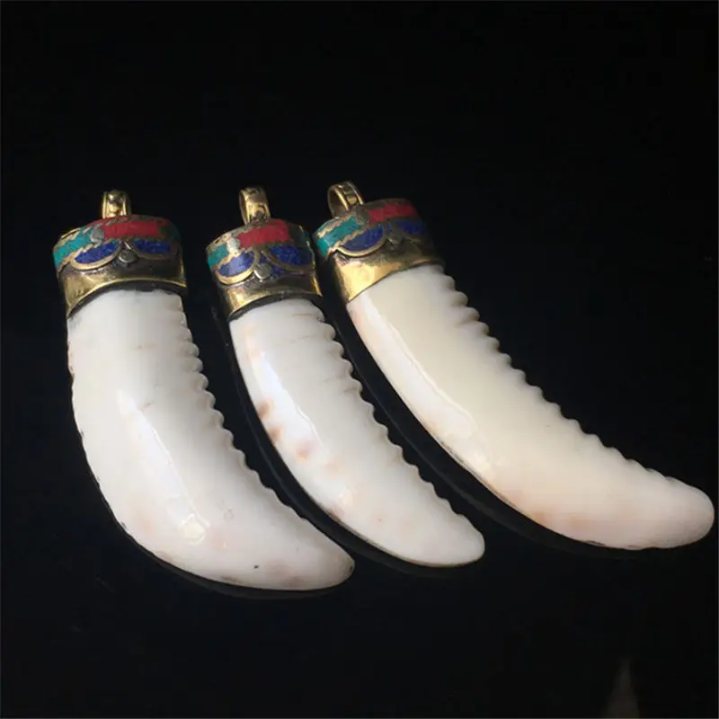 

TBP556 Nepal old Conch shell Big Pendants Tibetan Fang Amulet for Man clamshell