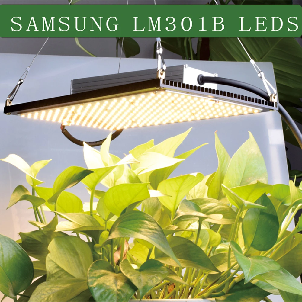 Led grow light LM301B 288Pcs Chip Full spectrum 240w samsung 3000K with Meanwell driver
Led grow light LM301B 288Pcs Chip Full spectrum 240w samsung 3000K with Meanwell driver