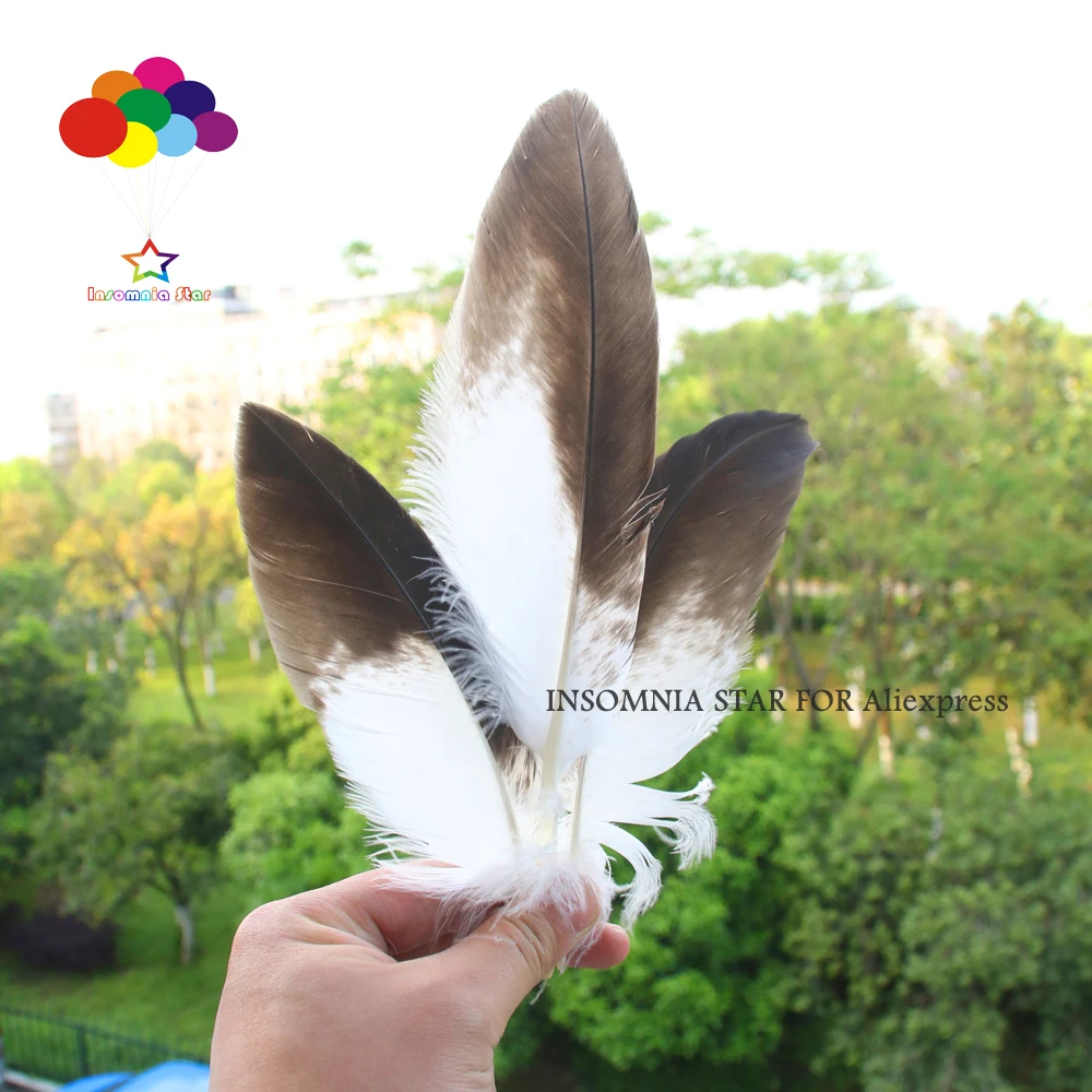 10 pcs Natural Golden rare feathers 8-10 inch/20-25cm Diy Carnival headress mask
10 pcs Natural Golden rare feathers 8-10 inch/20-25cm Diy Carnival headress mask