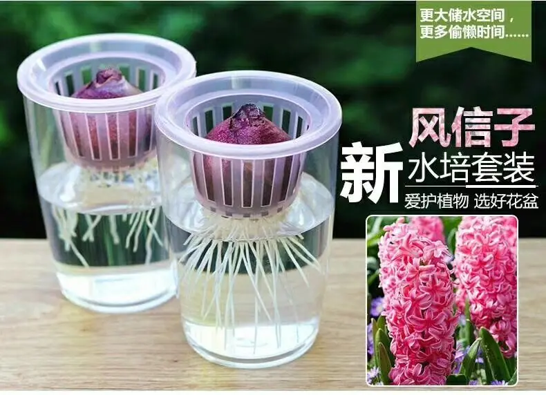 Пластиковая гидропонная ваза Прозрачный цветочный горшок с Гиацинтом. Контейнер