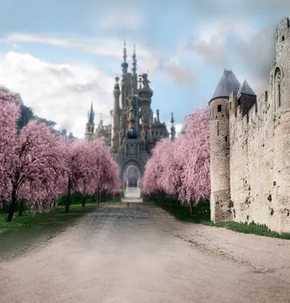 photography backdrop castle background cloth 5x7ft bloom pink flowers tree custom photography background cloth baby studio props
photography backdrop castle background cloth 5x7ft bloom pink flowers tree custom photography background cloth baby studio props