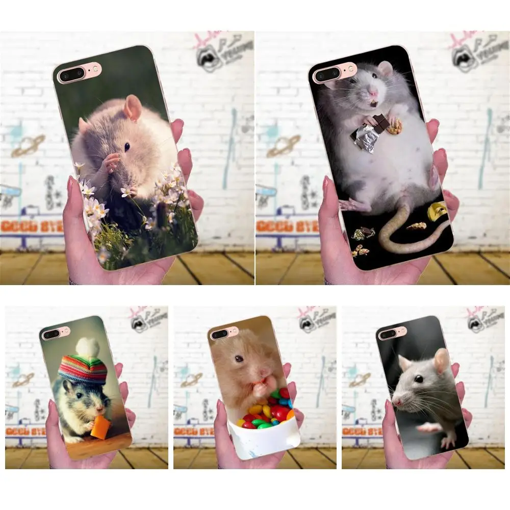 Мягкий ТПУ чехол для iPhone 4 5 5C 6 6S 7 8 Plus X XS Max XR модный сотовый Чехол с милыми