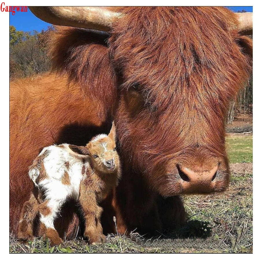 DIY Diamond Painting Cross Stitch Highland Cow pattern 3D Diamond Embroidery Full square round Diamond Mosaic Crystal wall Decor
DIY Diamond Painting Cross Stitch Highland Cow pattern 3D Diamond Embroidery Full square round Diamond Mosaic Crystal wall Decor